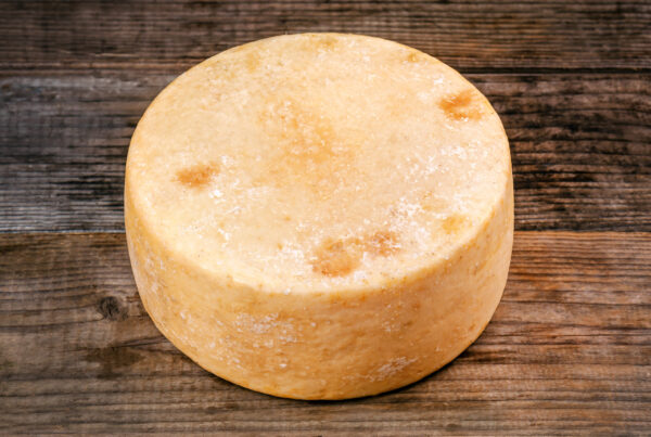 whole round cheese parmesan wheel